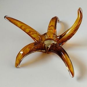 WATERFORD EVOLUTION Blown Glass SERIES CRYSTAL STARFISH Hand-made Stamped Neiman